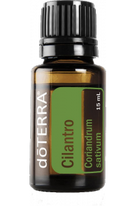 Obrázok pre CILANTRO (Koriander siaty — vňať) Coriandrum sativum 15 ml