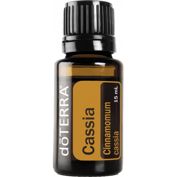 Obrázok pre CASSIA (Kasia) Cinnamomum cassia 15 ml