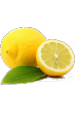 olej z citróna